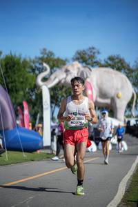 BIB: 
                            <button type="button" onclick="openModal(26542319)" class="btn btn-primary btn-sm float-right btn-popup" data-toggle="modal" data-target=".modal-high-quality">
                        <i class="fas fa-shopping-cart"></i> Add to Cart
                    </button>
                                            <button type="button" onclick="isThisMe(26542319, true)" class="btn btn-success btn-sm float-right btn-popup btn-isme hidden" data-toggle="tooltip" data-placement="bottom" title="นี่คือรูปของคุณใช่ไหม คลิกที่นี่เพื่อเอาเข้าอัลบั้ม">
                        <i class="fas fa-plus"></i> Add to album
                    </button>
                    <button type="button" onclick="isThisMe(26542319, false)" class="btn btn-warning btn-sm float-right btn-popup btn-isnotme hidden">
                        <i class="fas fa-ban"></i> Remove from album
                    </button>